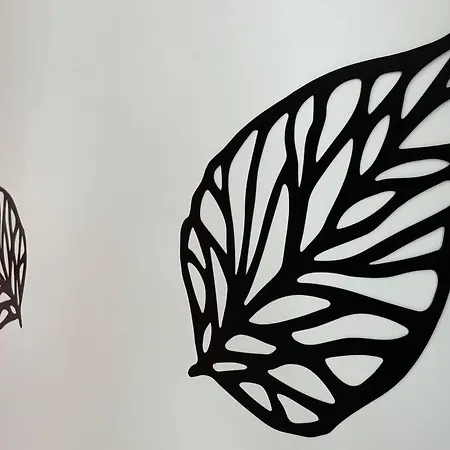 2 Pieces, Lumineux, Avec Parking