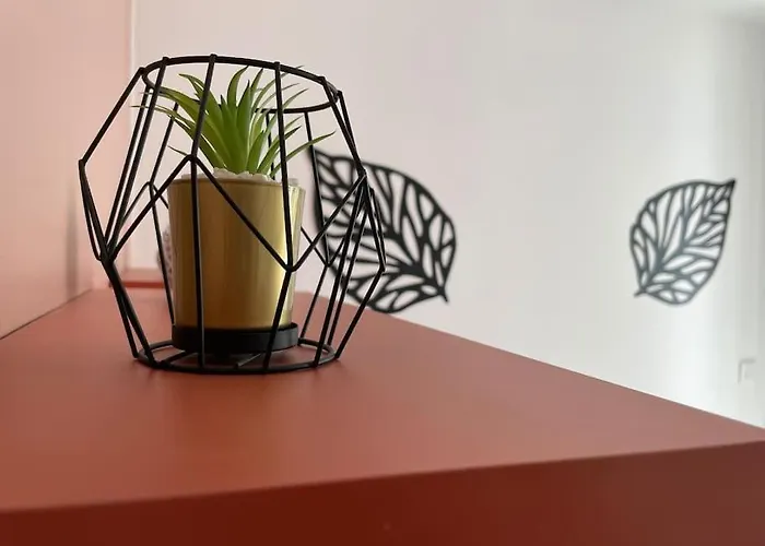 Apartment 2 Pieces, Lumineux, Avec Parking *